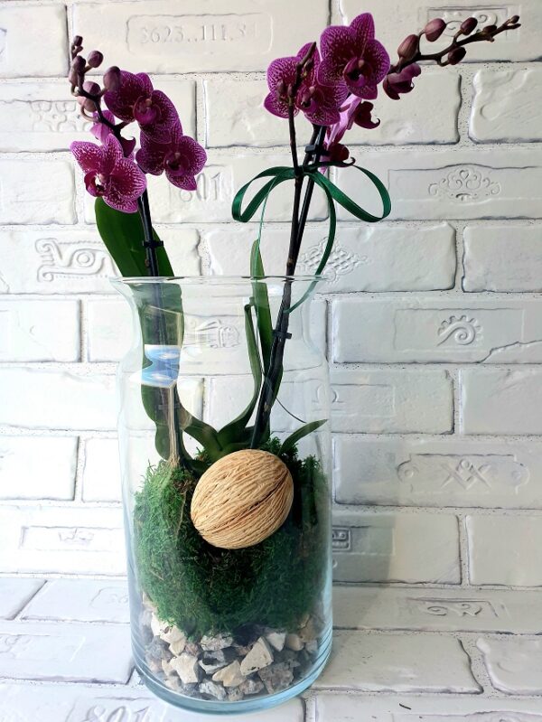 Aranjament-floral-Phalaenopsis-II