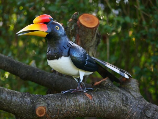 Figurina-metal-Toucan