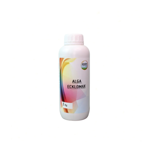 ALGA ECKLOMAX_1