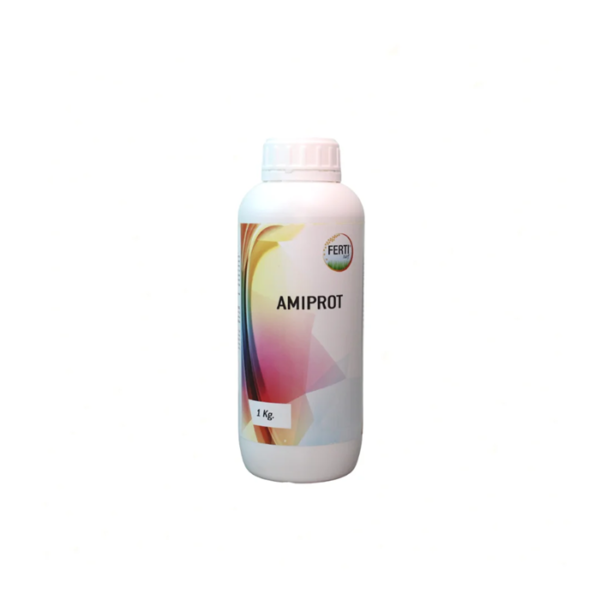 AMIPROT_1