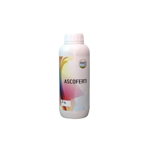 ASCOFERTI_1L_1