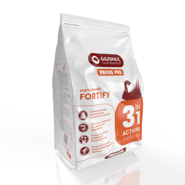 Fortify_1