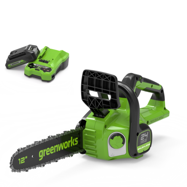 GREENWORKS GD24CS30K2_1